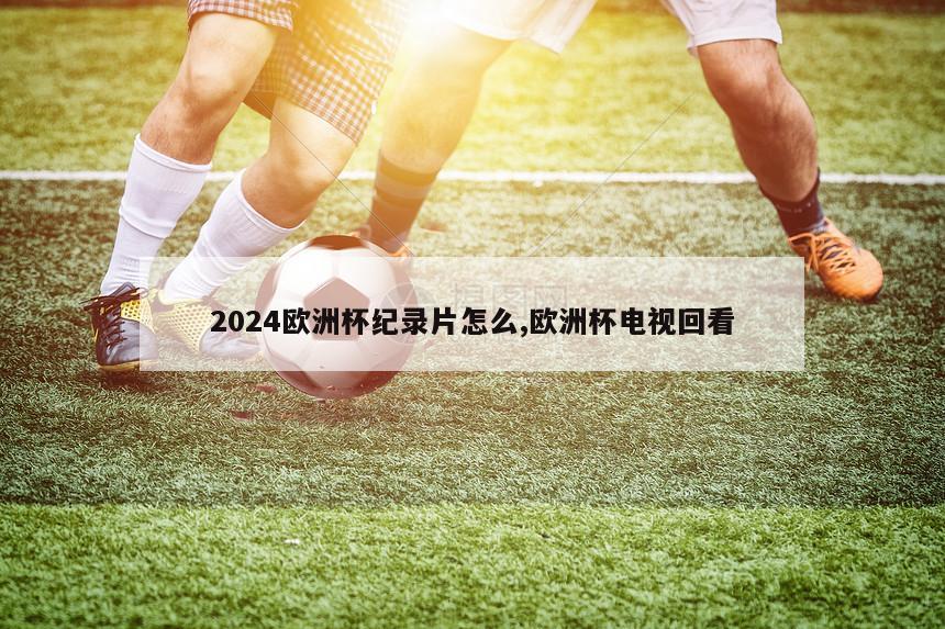 2024欧洲杯纪录片怎么,欧洲杯电视回看