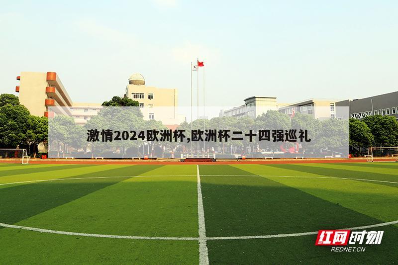 激情2024欧洲杯,欧洲杯二十四强巡礼